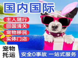 庆阳空运公司国际宠物托运 【国